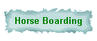 Horse Boarding